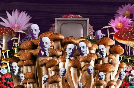 mushroom-lenin-dark